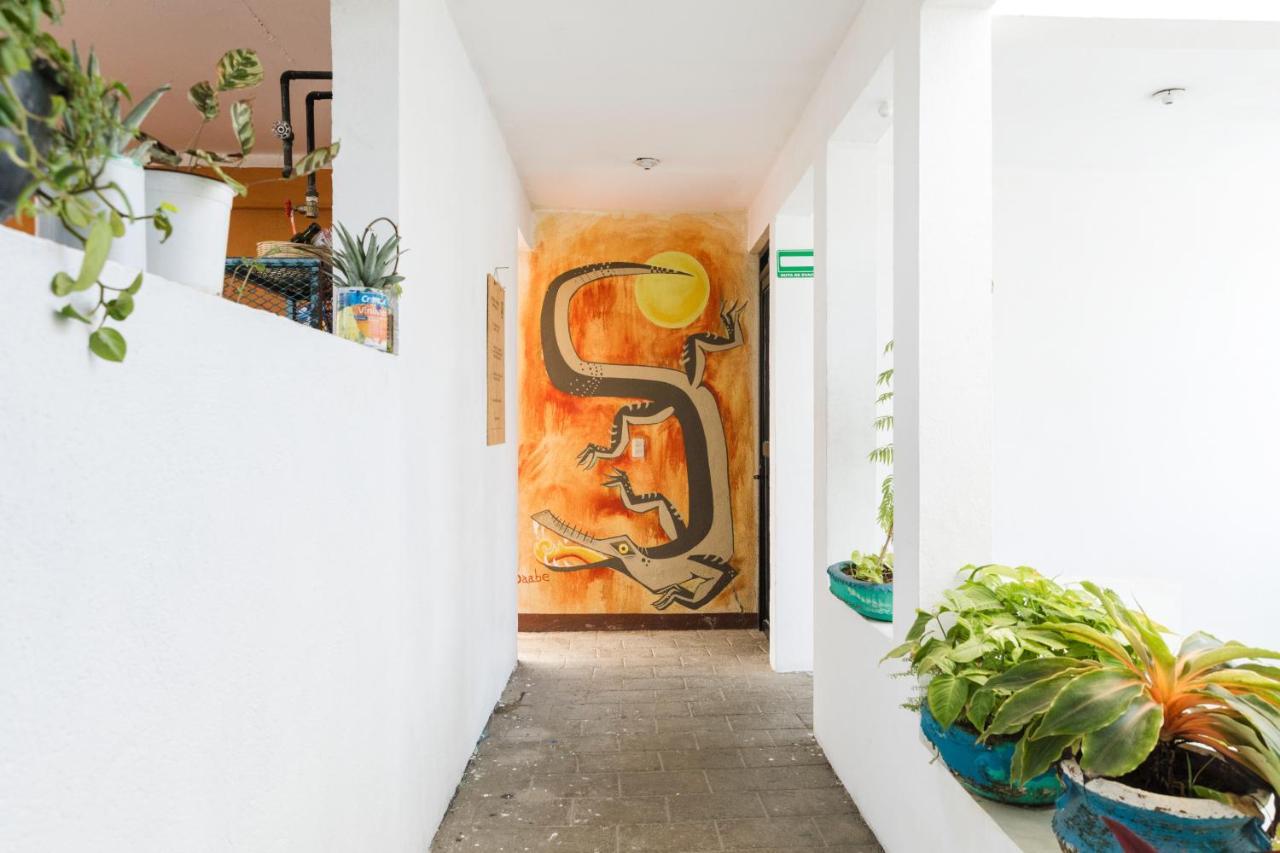 Residencia Artística Puerto Escondido (Oaxaca) Exterior foto